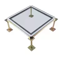 诚智旺 钢化玻璃防静电地板 12mm/块