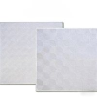 诚智旺 三防板吊顶 厚8mm / 平方米