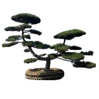 诚智旺 造型松 美观造型/棵