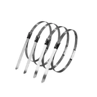 铁耀 不锈钢扎带 4.6*850mm 根