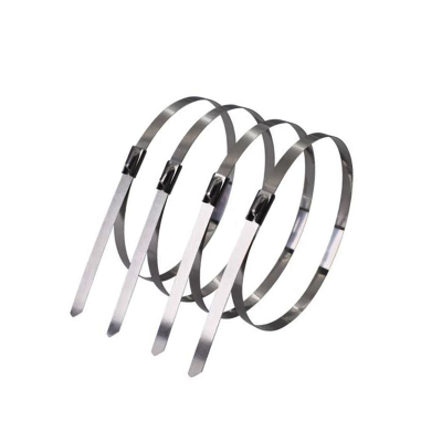 铁耀 不锈钢扎带 4.6*850mm 根