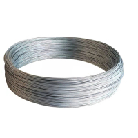 铁耀 镀锌铁丝 8号 kg