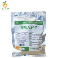 廷豪果 锦鸡儿种子 柠条种子 一级净籽 500g/斤