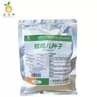 廷豪果 锦鸡儿种子 柠条种子 一级净籽 500g/袋