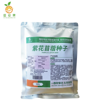 廷豪果 紫花苜蓿种子 四季牧草种子 500g/袋