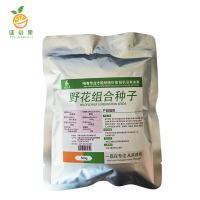 廷豪果 进口野花组合种子 四季野花 四季开花 500g/袋 袋