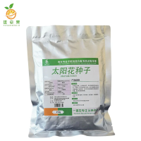 廷豪果 太阳花种子 重瓣太阳花种子 250g 袋