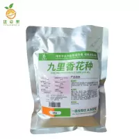 廷豪果 九里香花种 驱蚊香草种子 500g 袋