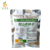 廷豪果 爬山虎种子 5叶爬山虎种子 500g/斤