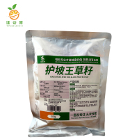 廷豪果 护坡王草籽 绿化草坪种子 500g/袋