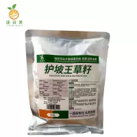 廷豪果 护坡王草籽 绿化草坪种子 500g/袋