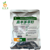 廷豪果 高羊茅草籽 绿化草坪种子 500g/袋