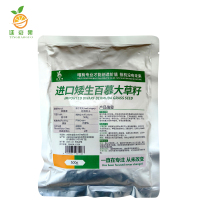 廷豪果 进口矮生百慕大草籽 绿化草坪种子 500g/袋