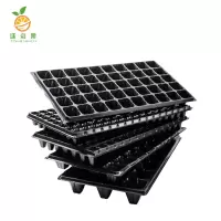 廷豪果 育苗盘 54cm*28cm 200片/箱