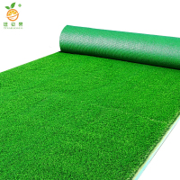 廷豪果 草坪草皮 100cm*100cm /平方米