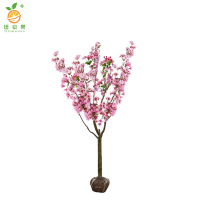 廷豪果 海棠树 胸径7cm /棵