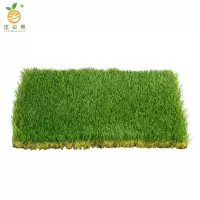 廷豪果 草坪 成品草坪 /平方米