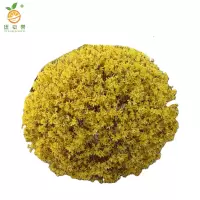 廷豪果 连翘球 冠幅120cm /棵