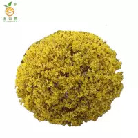 廷豪果 连翘球 冠幅80cm /棵