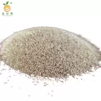 廷豪果 高羊茅草籽 绿化草坪种子 净籽 /千克