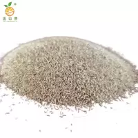 廷豪果 矮生四季青草籽 绿化草坪种子 混合 /千克