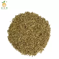 廷豪果 野花组合花籽 野花组合种子 净籽 /千克