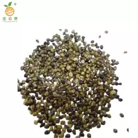 廷豪果 灌木草组合草籽 绿化草坪种子 净籽 /千克