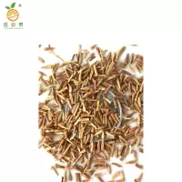 廷豪果 除虫菊花籽 菊花种子 净籽 /千克