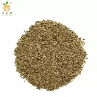 廷豪果 混色波斯菊花籽 波斯菊种子 净籽 /千克