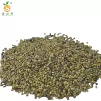 廷豪果 灌木草籽 护坡种子 GMZ-1 /千克