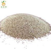 廷豪果 护坡卫士草籽 护坡种子 净籽 /千克