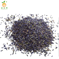 廷豪果 薰衣草花籽 薰衣草种子 净籽 /千克