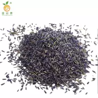 廷豪果 薰衣草花籽 薰衣草种子 净籽 /千克