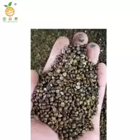 廷豪果 三叶爬山虎种子 净籽 /千克