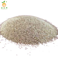 廷豪果 狗牙根草籽 耐热耐旱 绿化草坪种子 包衣 /千克