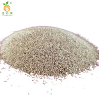 廷豪果 宽叶草籽(边坡专用) 护坡种子 净籽 /千克