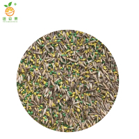 廷豪果 柠条草籽 柠条种子 通用款 /千克