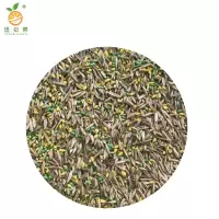 廷豪果 柠条草籽 柠条种子 通用款 /千克