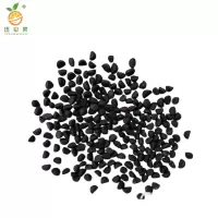 廷豪果 爬藤牵牛花花籽 净籽 /千克