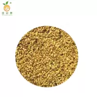 廷豪果 大叶紫花苜蓿种子 净籽 /千克