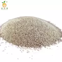 廷豪果 地毯草草籽 绿化草坪种子 净籽 /千克