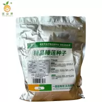 廷豪果 精品睡莲种子 水培植物碗莲种籽 1kg/袋