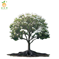 廷豪果 玉兰树 绿植 胸径12cm /棵