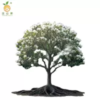 廷豪果 玉兰树 绿植 胸径12cm /棵