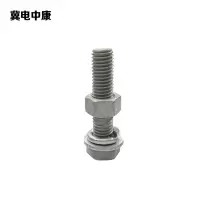 冀电中康 穿钉带帽 M16*300mm 根