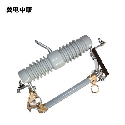 冀电中康 跌落式熔断器 RW12-10/100A 支
