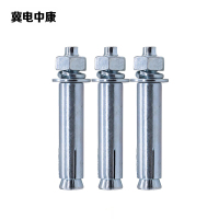 冀电中康 膨胀螺丝 10*120mm 颗
