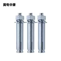 冀电中康 膨胀螺丝 10*120mm 颗