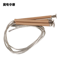 冀电中康 熔丝 10-1A 根