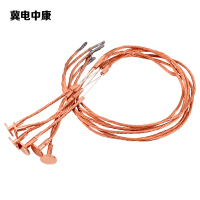 冀电中康 纽扣式熔丝 30A 根